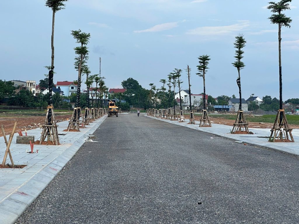 vạn xuân 1
