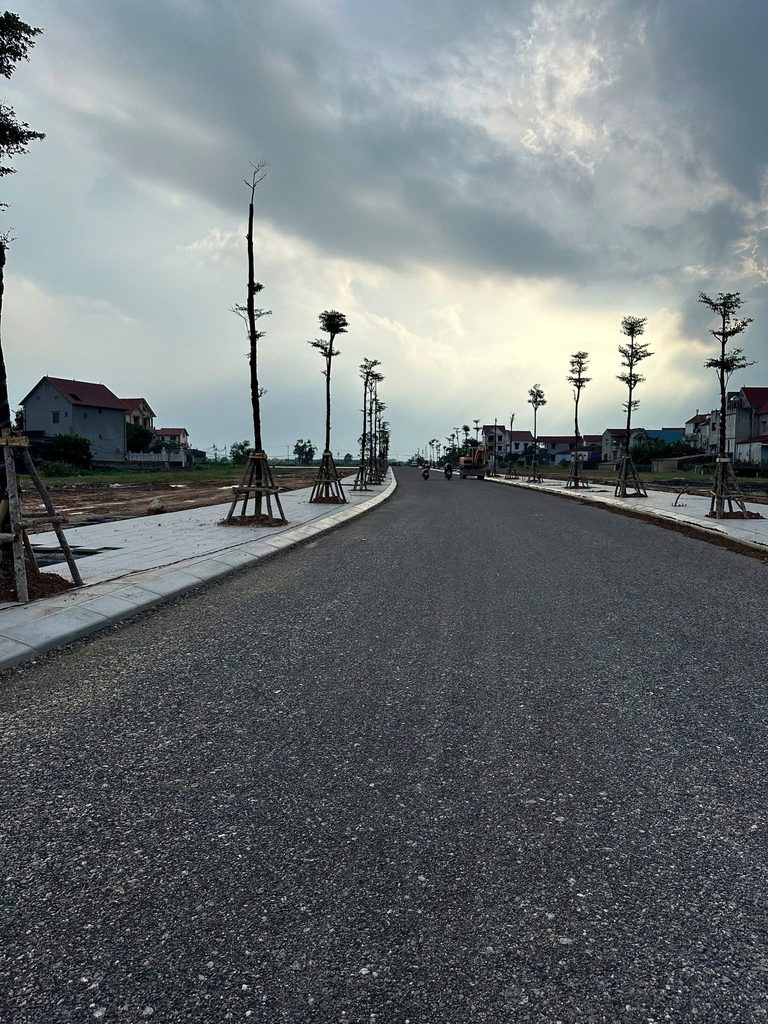vạn xuân 3