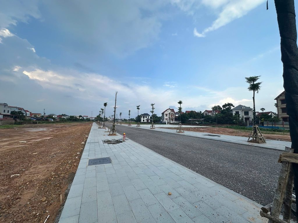vạn xuân 4